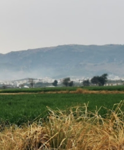 111 Sqyd Developed Plot for sale in Sector E-12/2 Islamabad 
