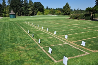 A Block   1 Kanal  Plot  for sale In Airport Green Gardens  Islamabad  