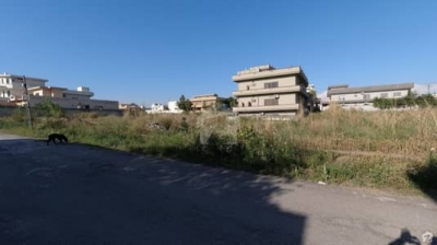 14  Marla Beautiful Plot For Sale Police Foundation NPF SECTOR 0-9 Islamabad