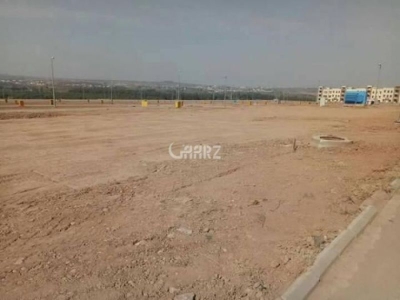 Image not found
