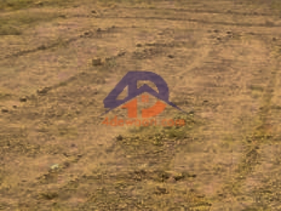 Image not found