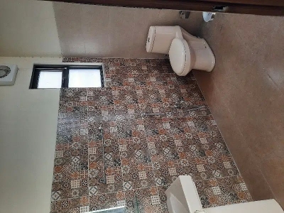 Image not found